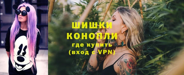 твердый Горнозаводск