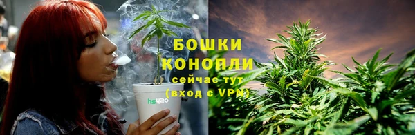 тгк Горняк